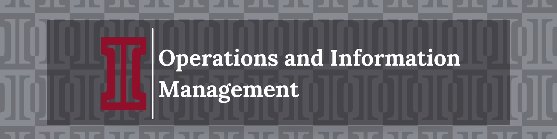 What can I do with a major in Operations & Information Management?