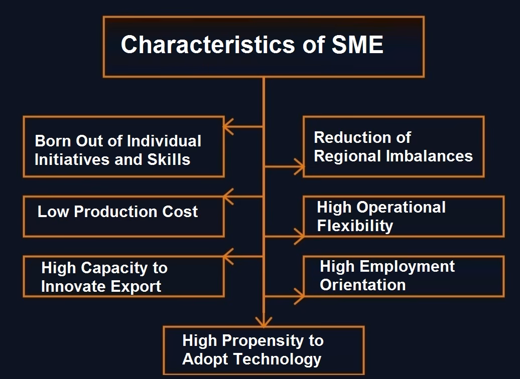 What is a small and medium-sized enterprise (SME)?