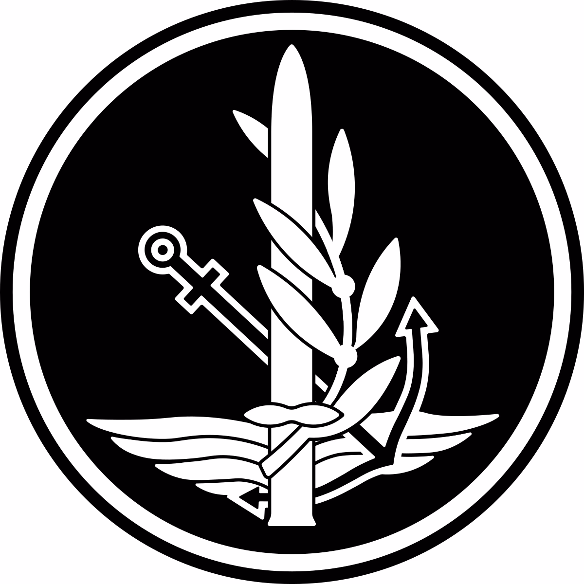 Why is the Directorate of plans called a Directorate?