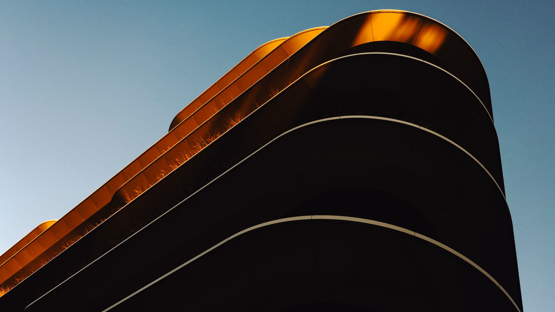 Who are the clients of Netcompany?