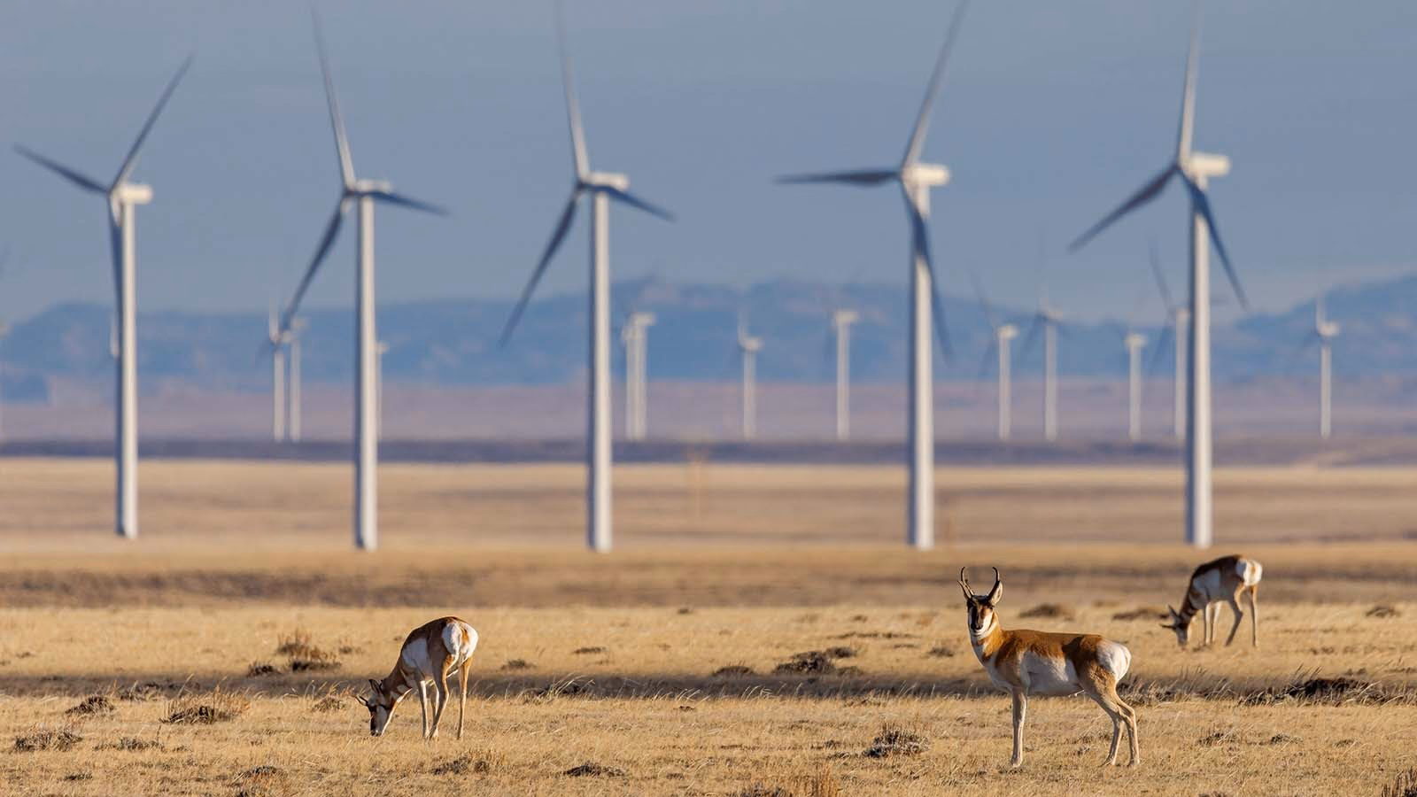 Are there wind projects in Wyoming?