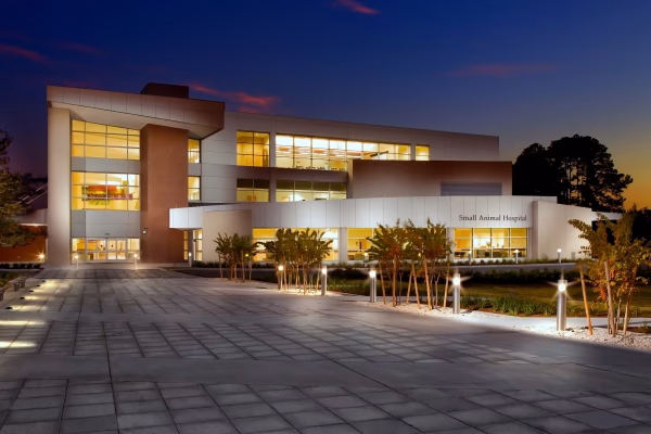 What does animal veterinary hospital of Orlando do?