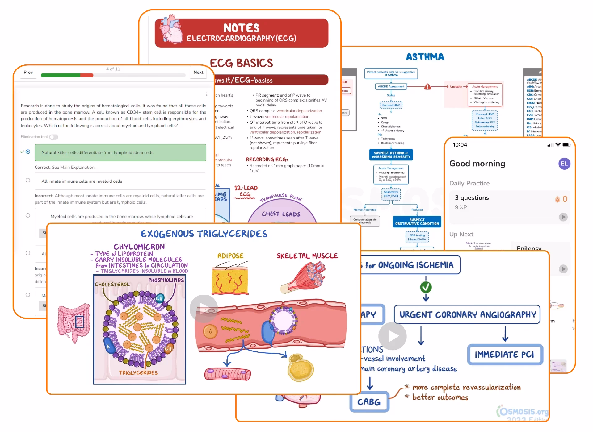 What is the osmosis study platform?