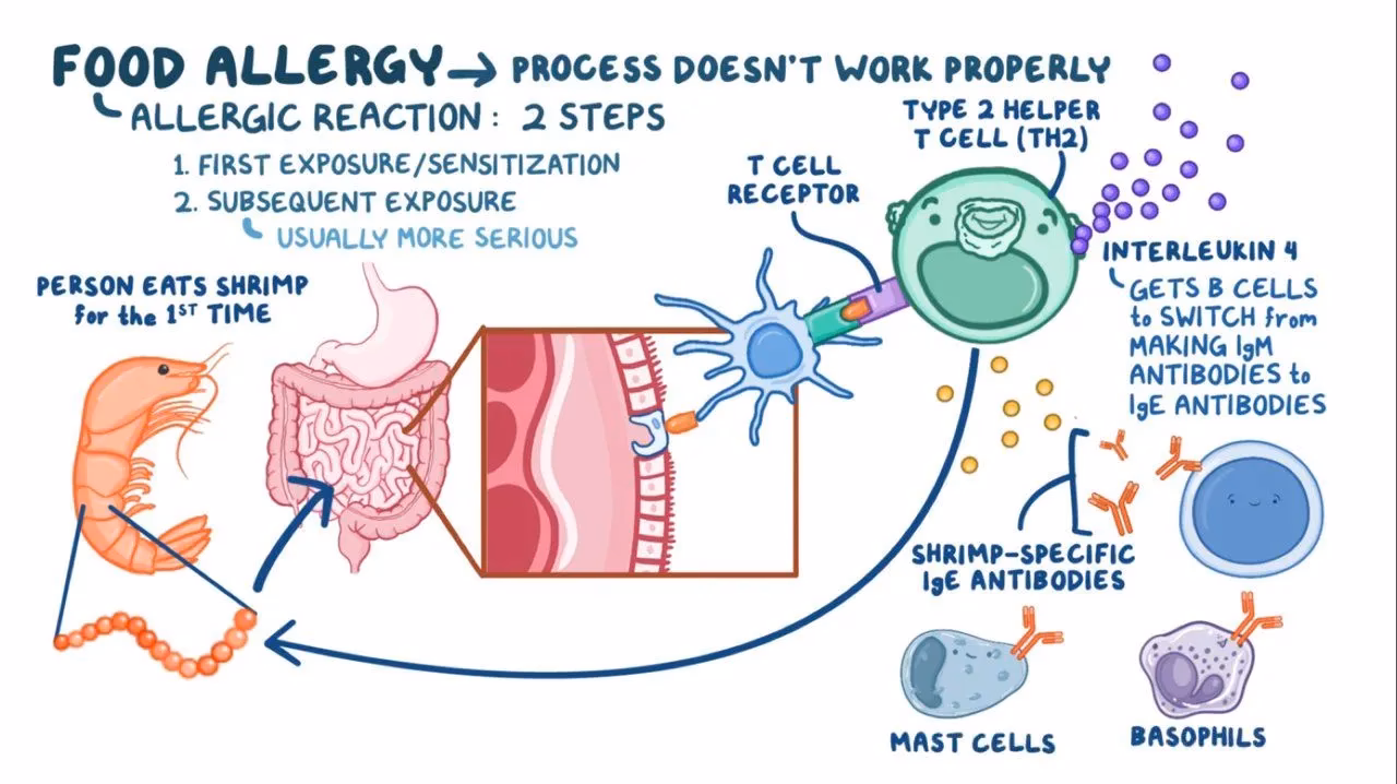 Why are allergen-specific IgA ABS important in Ait?