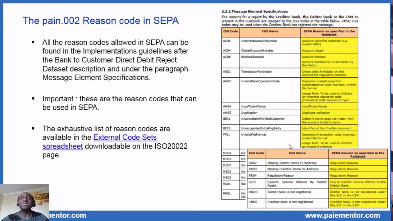 What is a customer payment status report (pain 001 XML)?