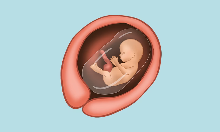 What are the symptoms of preterm labor at 15 weeks?