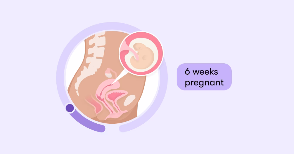 Why do I have lower abdominal pain at 6 weeks pregnant?