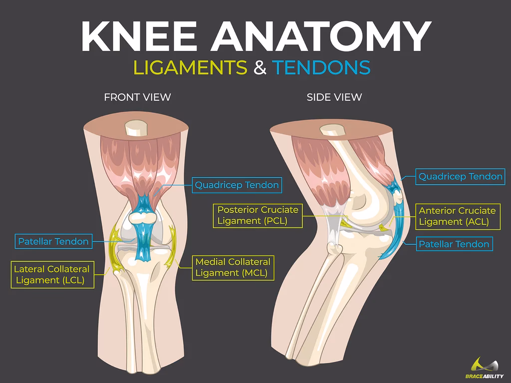 Why is my knee sore?