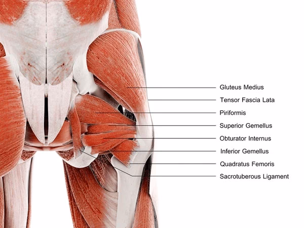 Why does my hip hurt when I run?