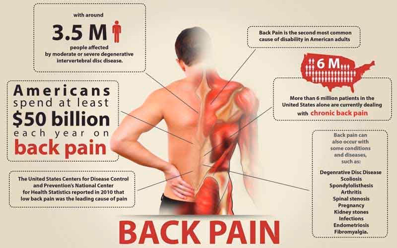 Does middle back pain affect the thoracic spine?