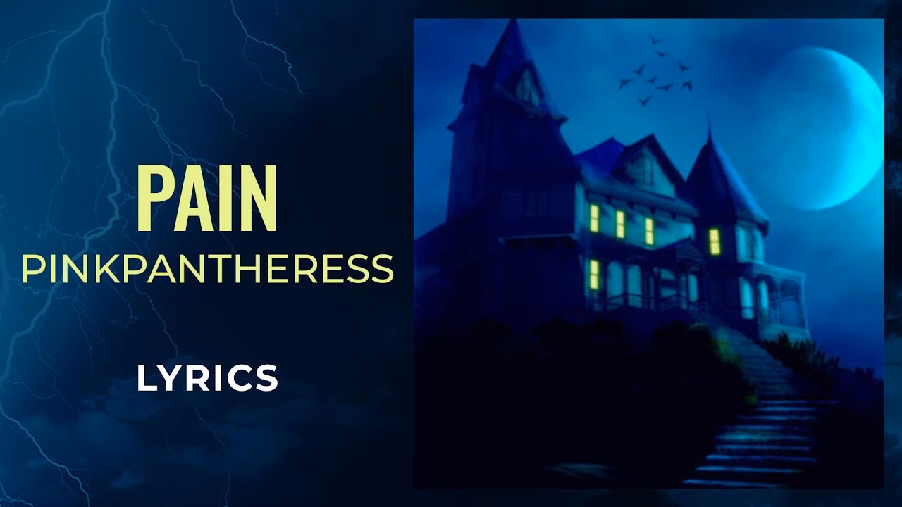 What did pinkpantheress say after releasing the song?