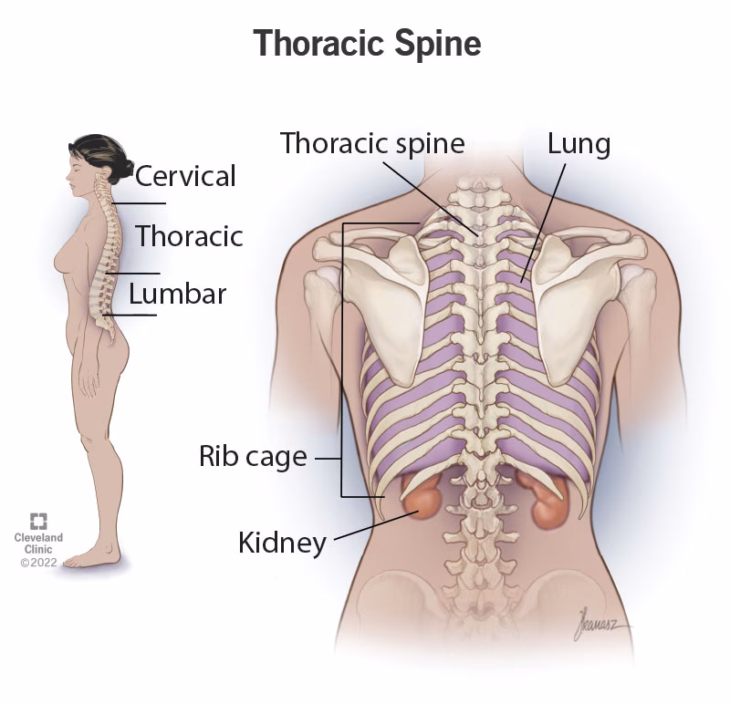 Is thoracic back pain serious?