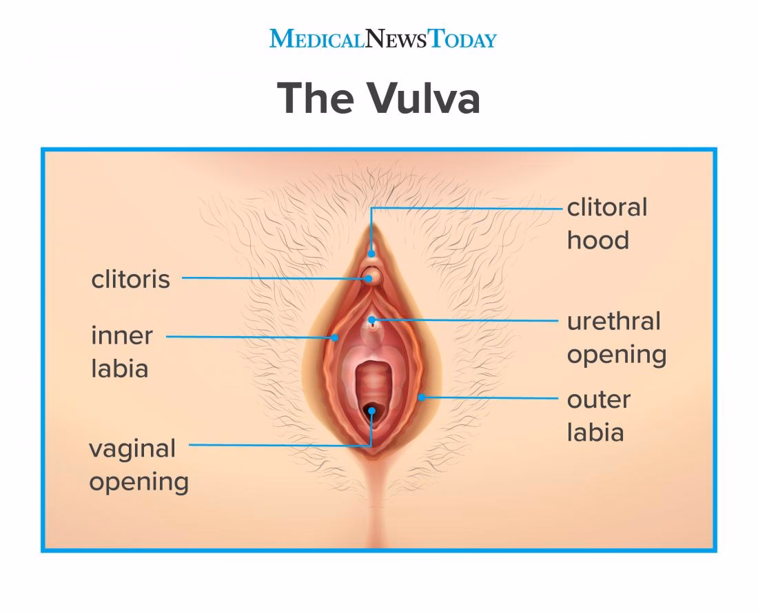 What causes vaginal soreness during a period?