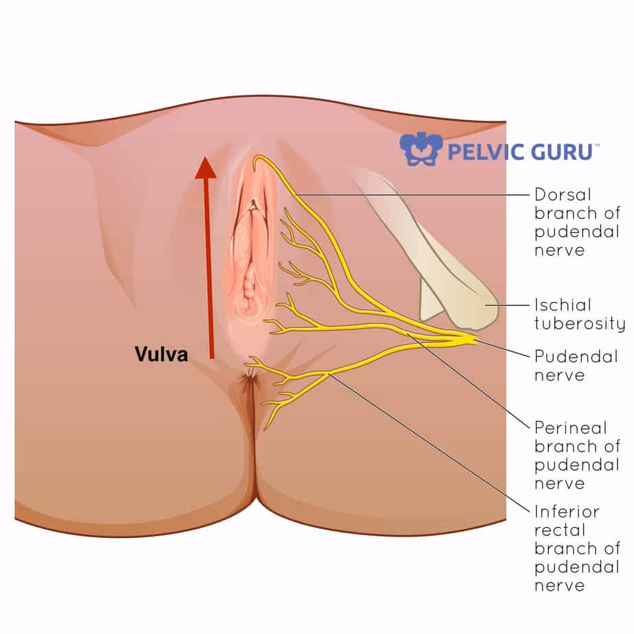 Can vulvar pain occur after menopause?