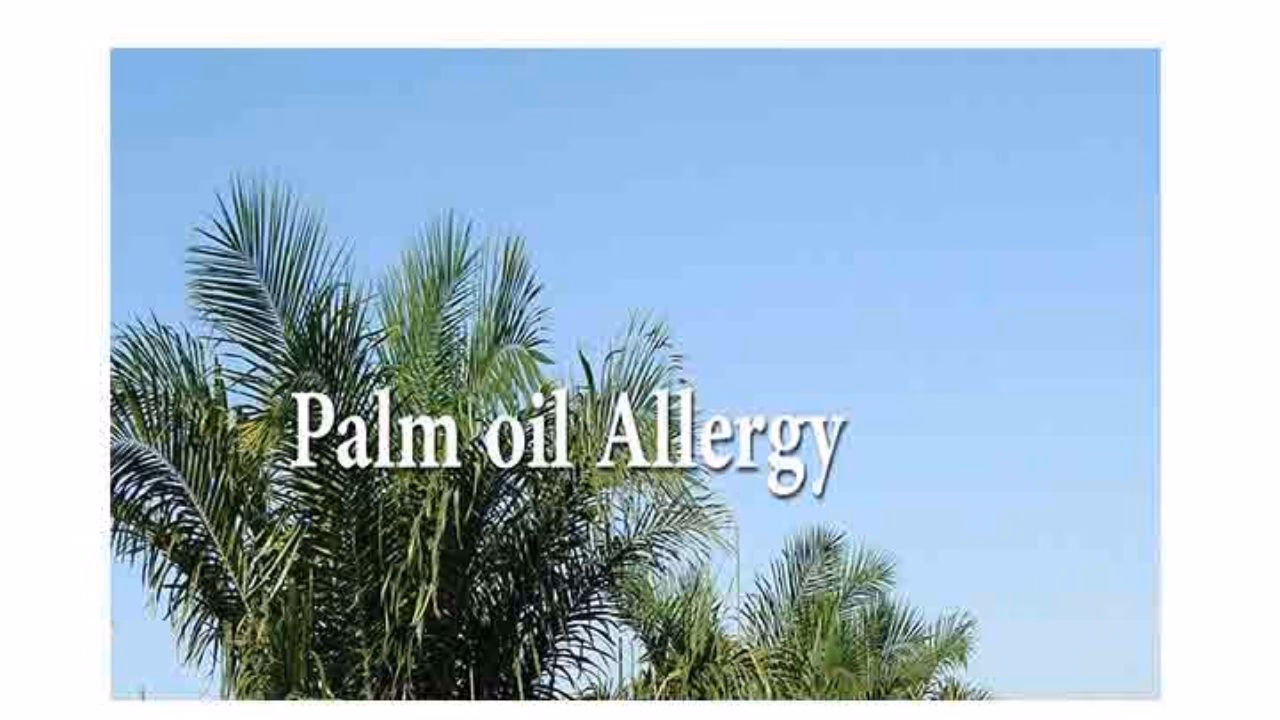 Are there scientific studies on palm oil allergies?