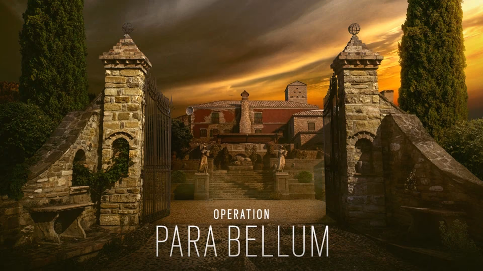 Who is Maestro and Alibi in operation Para Bellum?