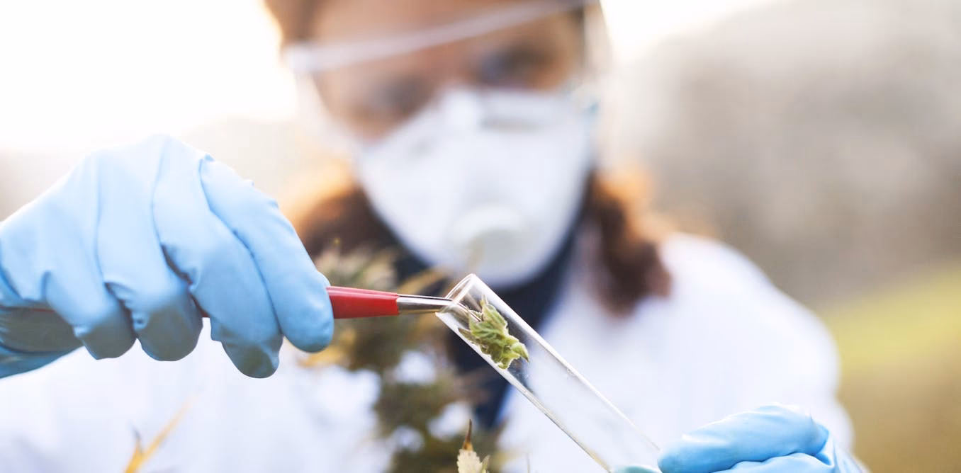 Does HIPAA apply to medical marijuana dispensaries?