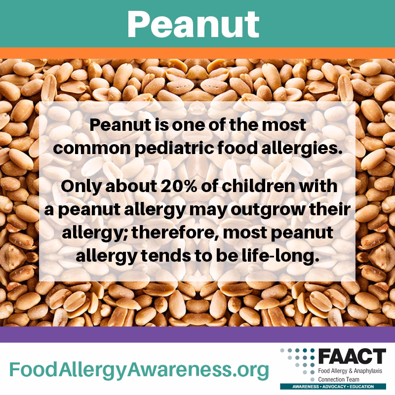 What foods eat if you have a peanut allergy?