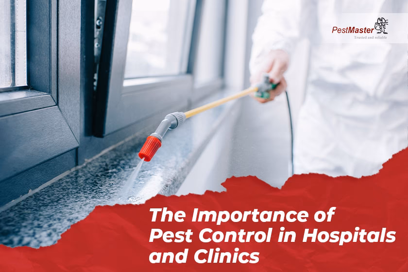 Should you hire a pest control company for your healthcare facility?