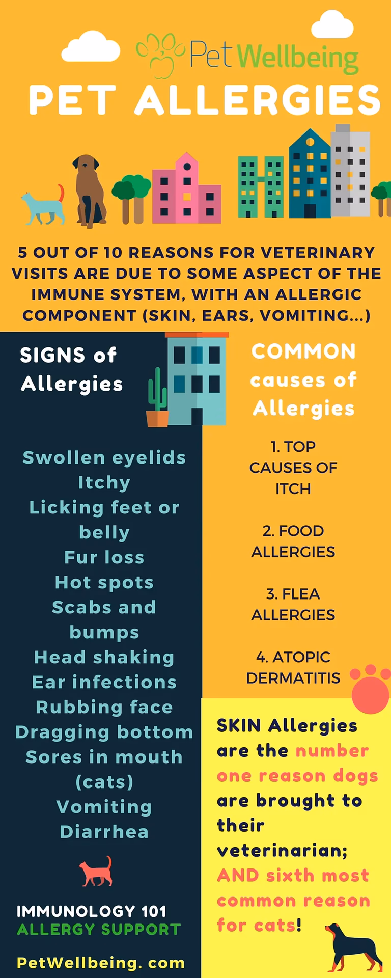 What happens if you get allergic to a pet?