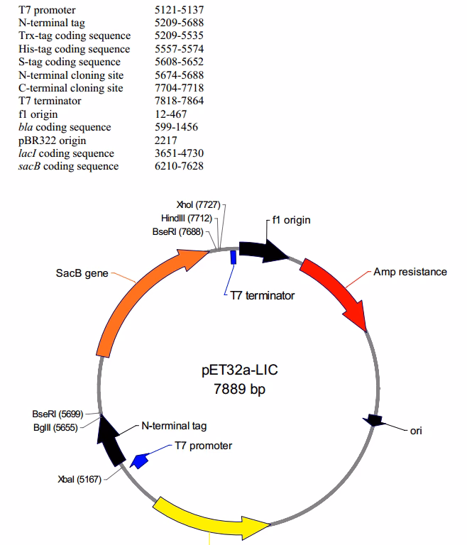 What is pet expression System1?