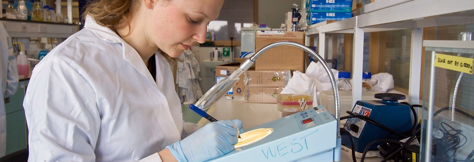 Who can apply for a PhD in Medical Sciences?