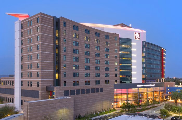 Who is Phoenix Hospital Chelmsford?