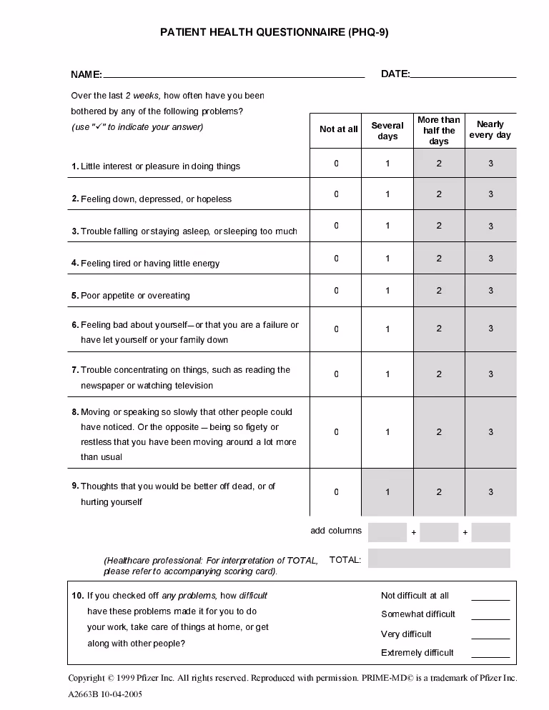 What is a Patient Health Questionnaire (PHQ-9)?