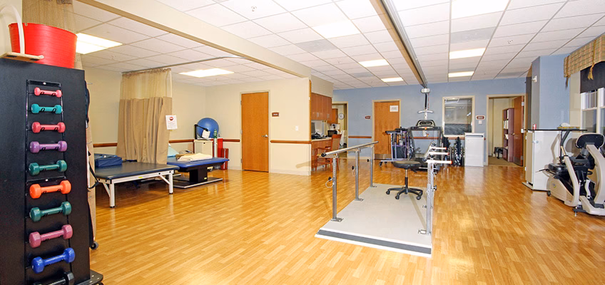 What is Physical Rehabilitation Therapy (PT)?