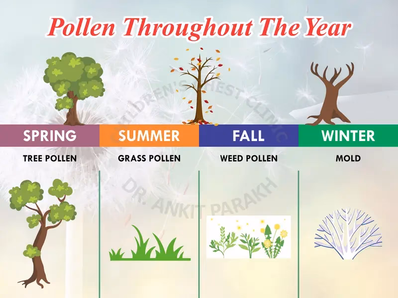 Do all plants cause allergies?