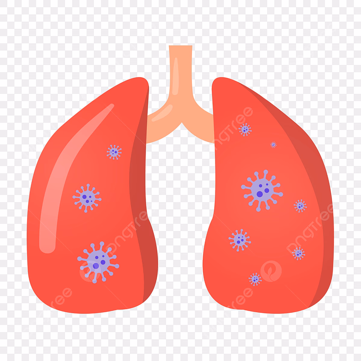 How many pneumonia PNGs are there?