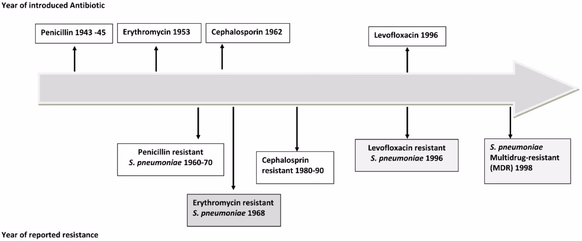 How long does pneumonia last?