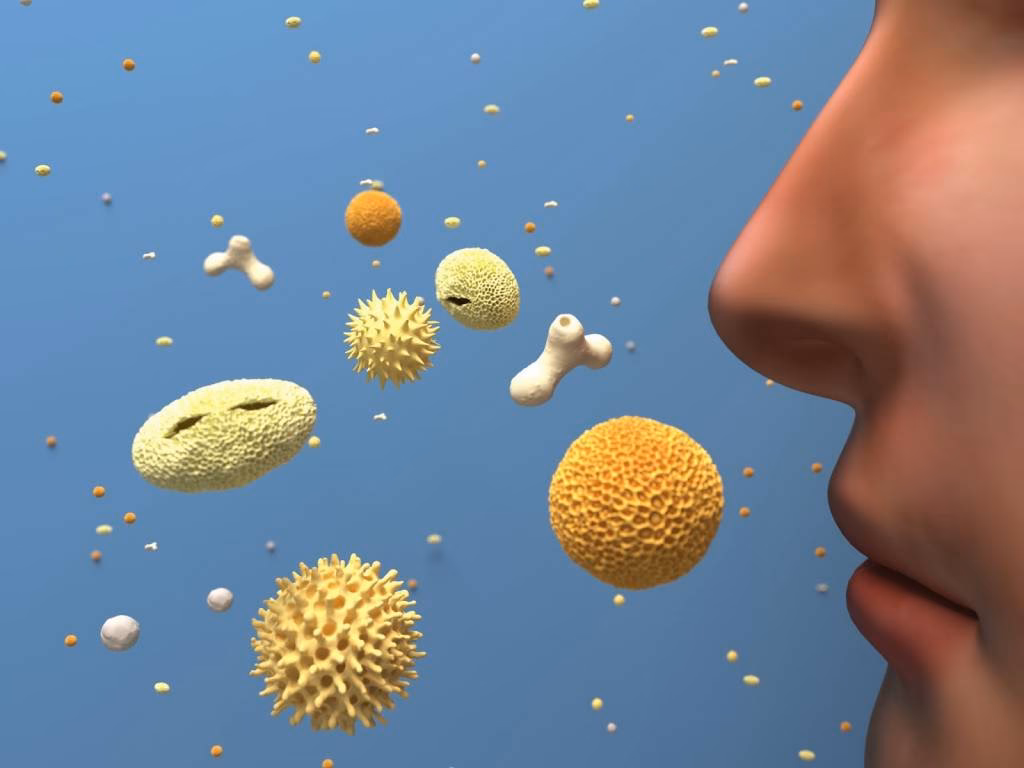 Is pollen an airborne allergen?