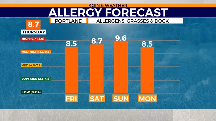 Can pollen levels predict allergy levels?