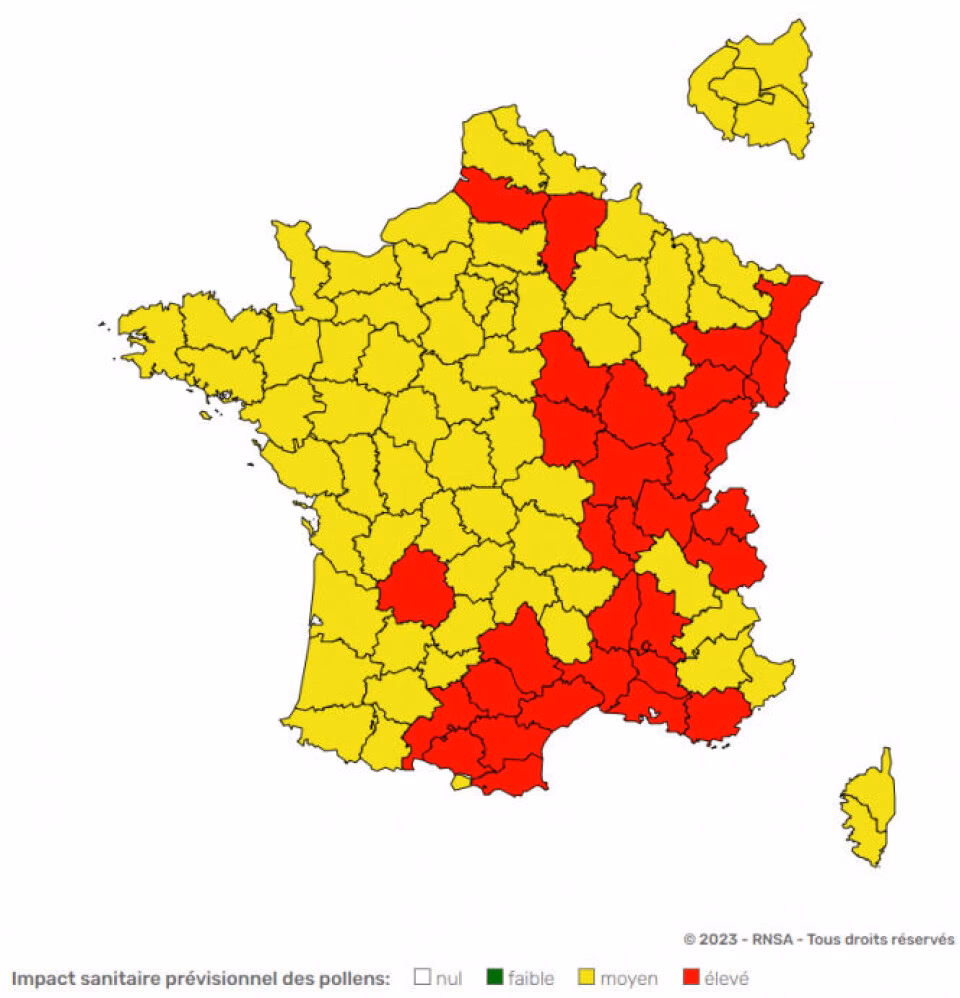 How bad is ragweed pollen in Paris?