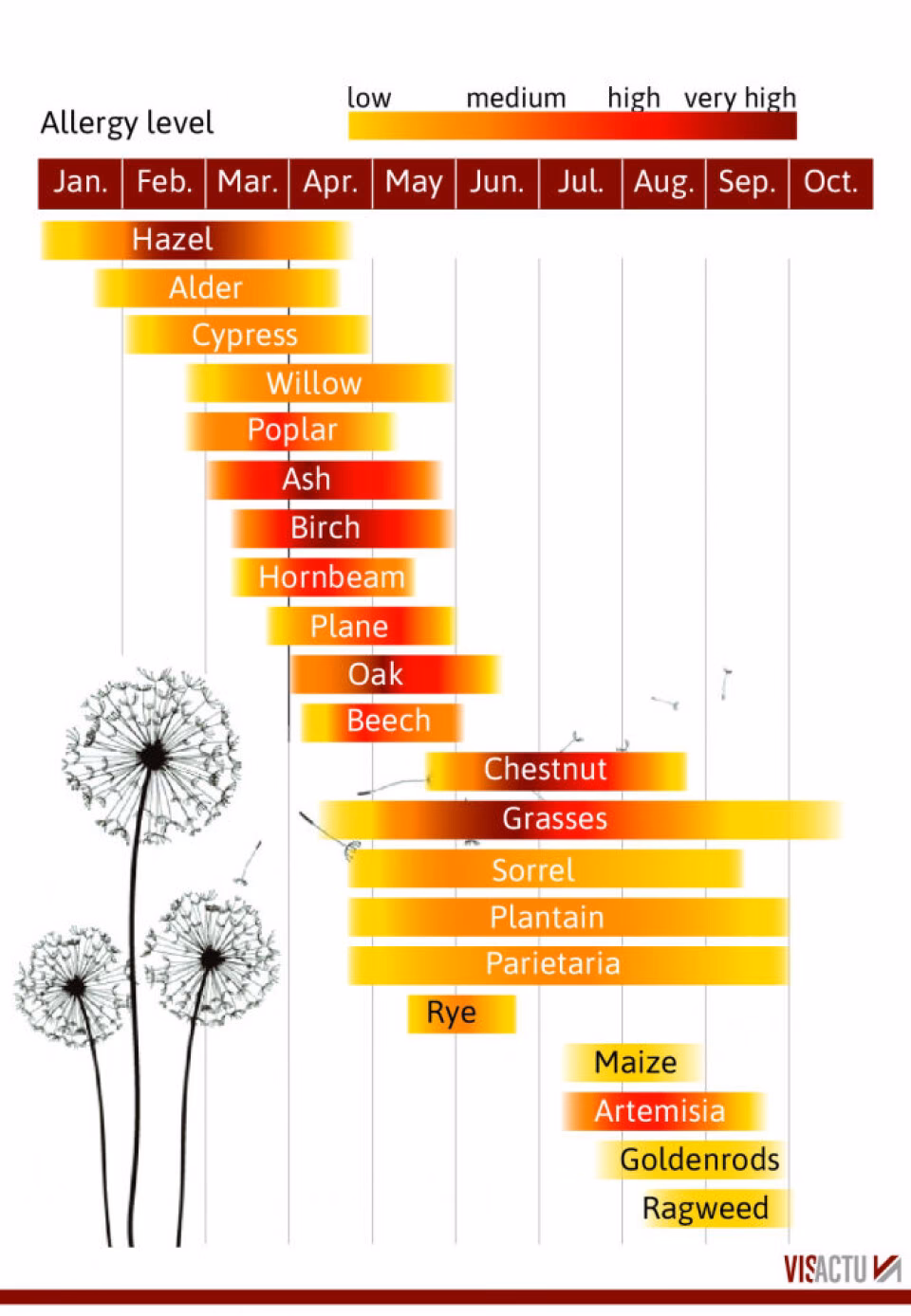 What is Paris pollen count & allergy risks?