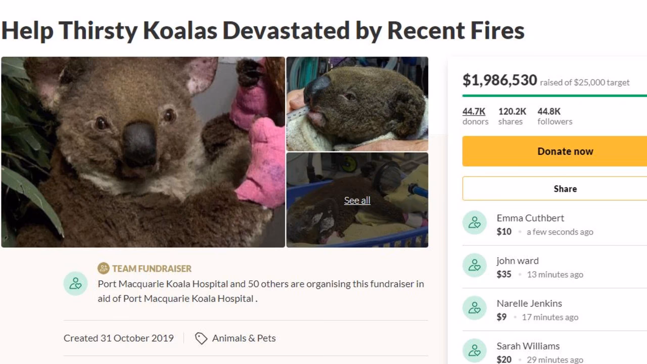 How has GoFundMe helped the Port Macquarie Koala Hospital?