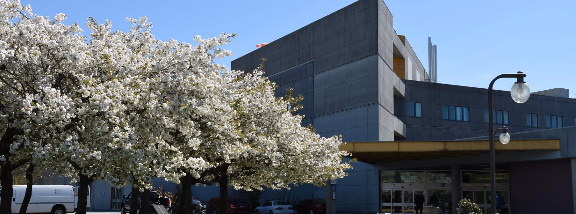 Why did VCH rename Powell hospital?