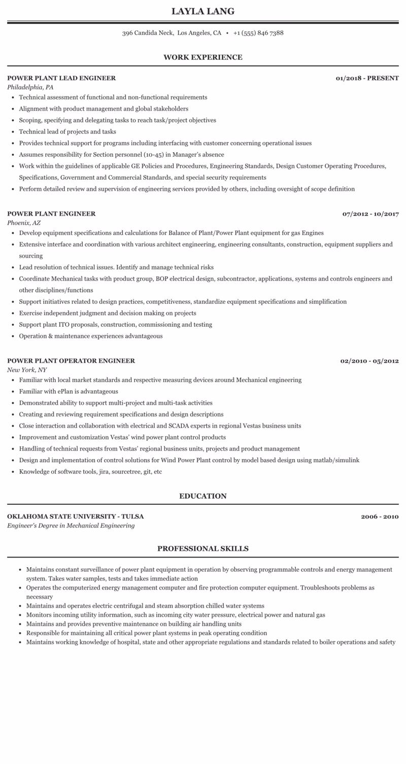 What does a power plant operations director do?