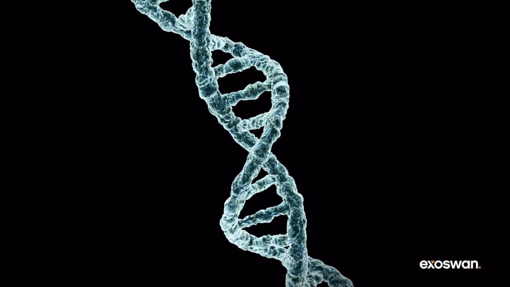 What was Praxis Precision Medicines' stock price in 2025?