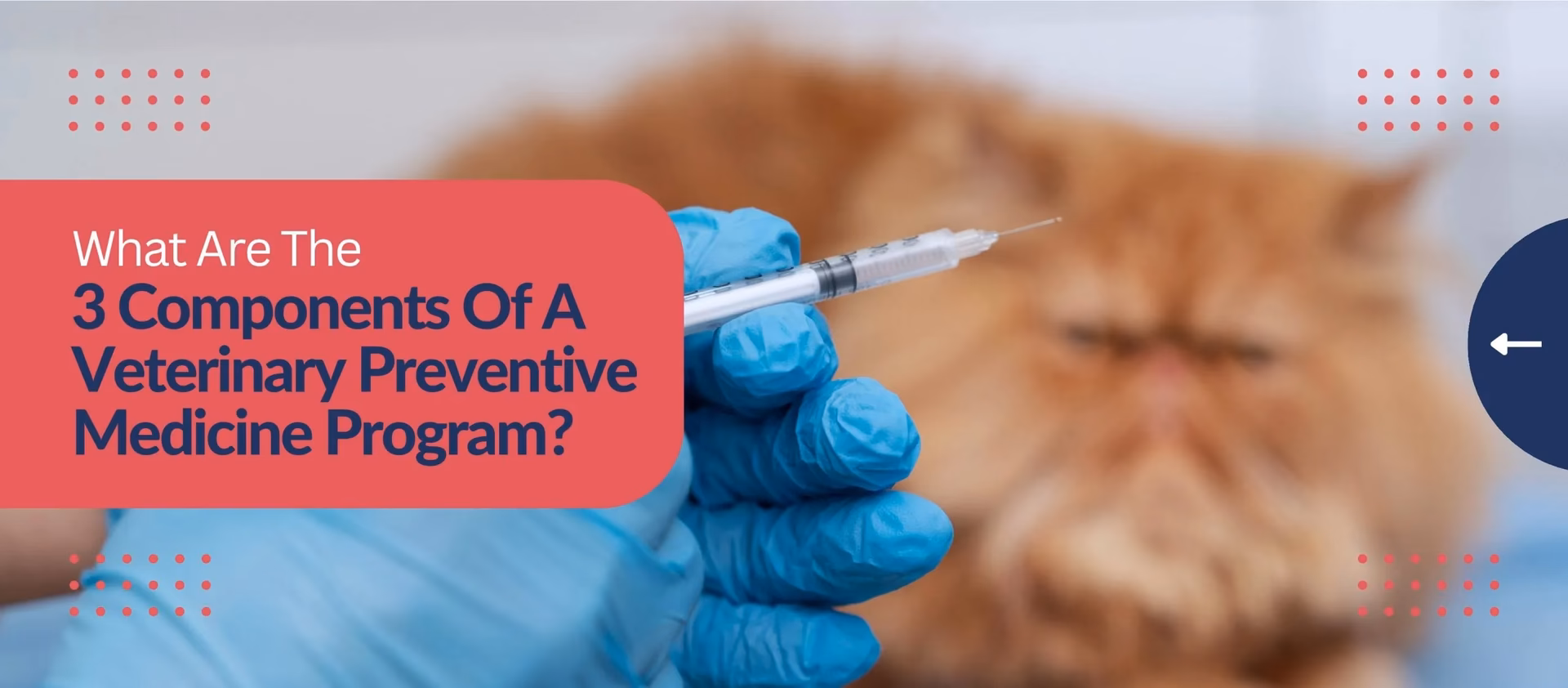 What is Veterinary Medicine and health journal impact factor?