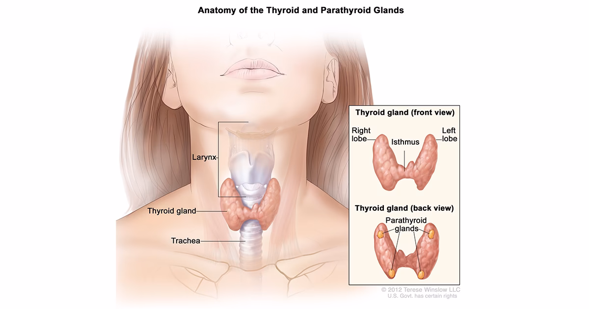 How common is hyperthyroidism?