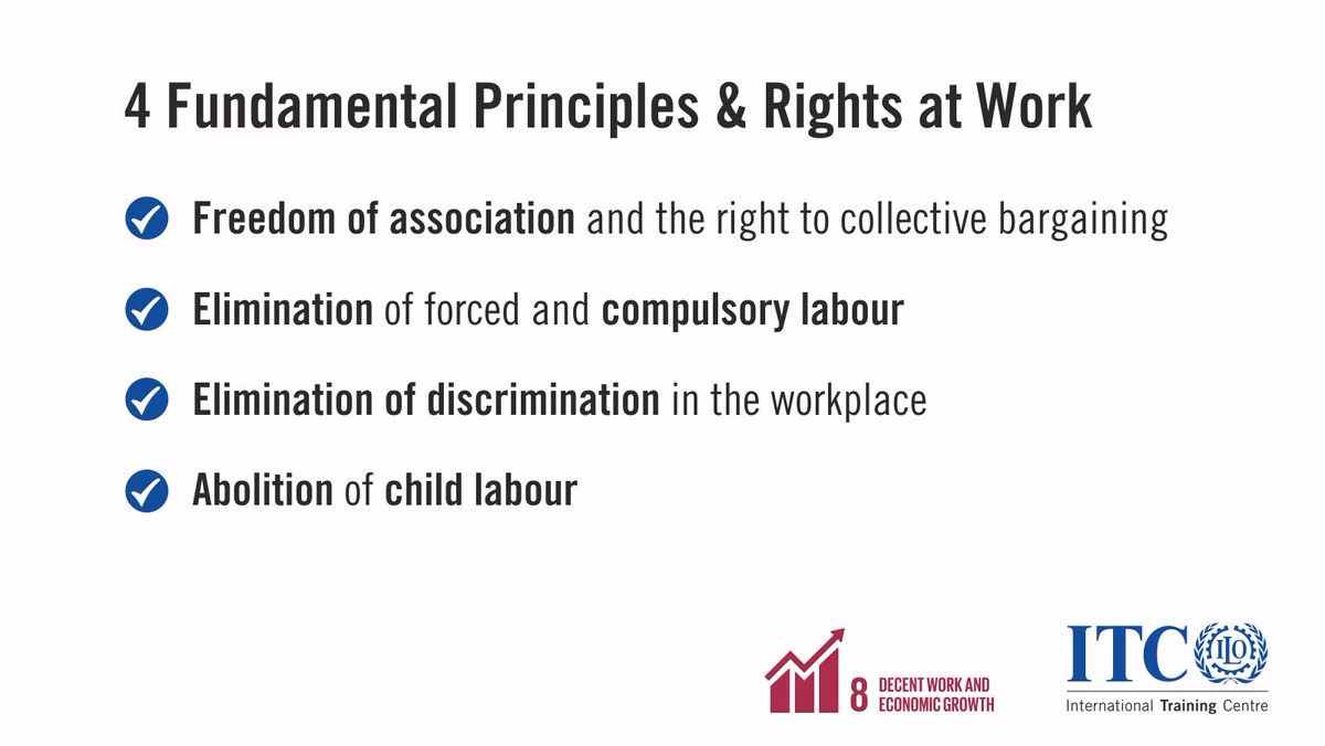 What are the principles of labour law?