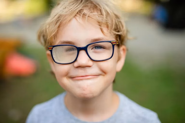 Wie werden die Prismen verteilt?