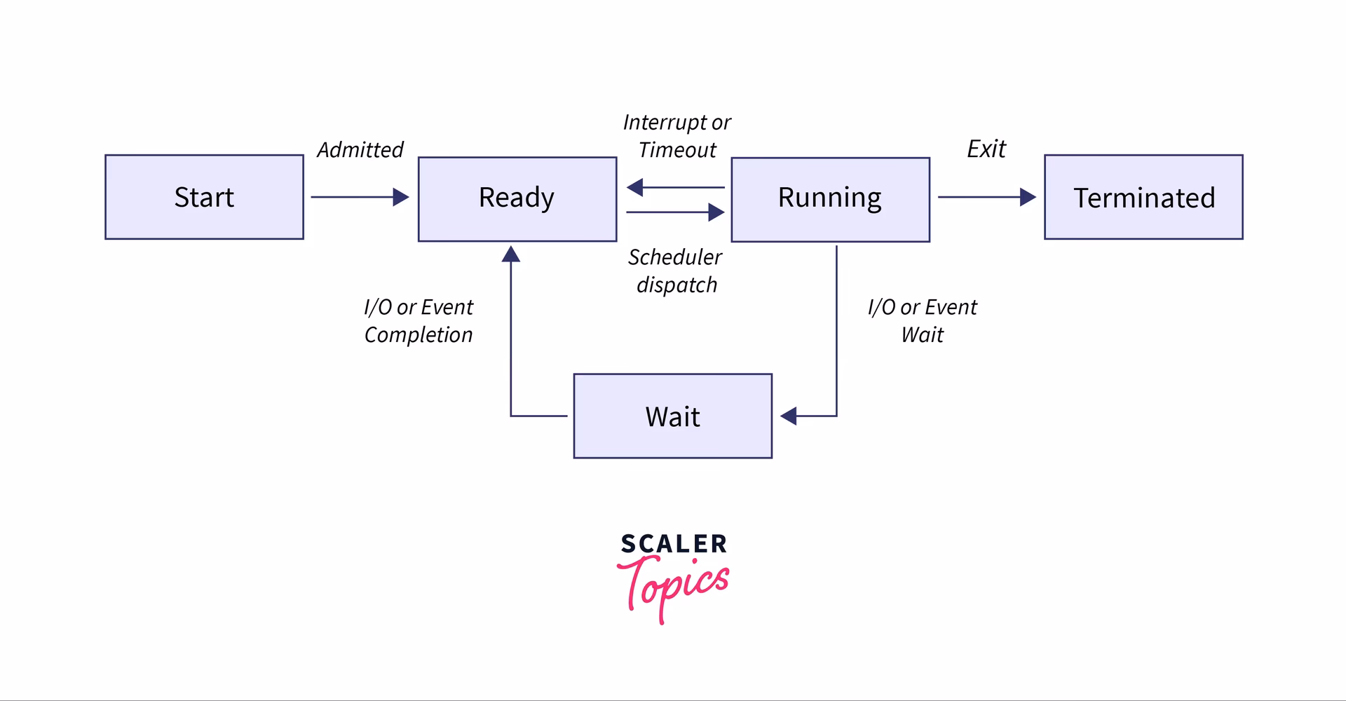 How does the operating system manage processes?