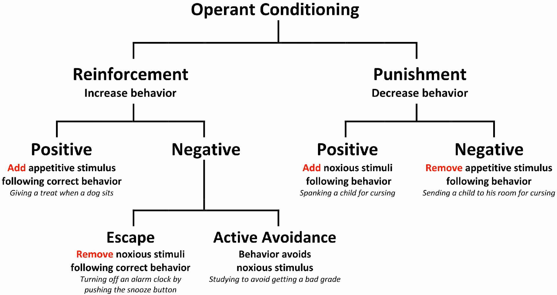 Who are the proponents of classical and operant conditioning?