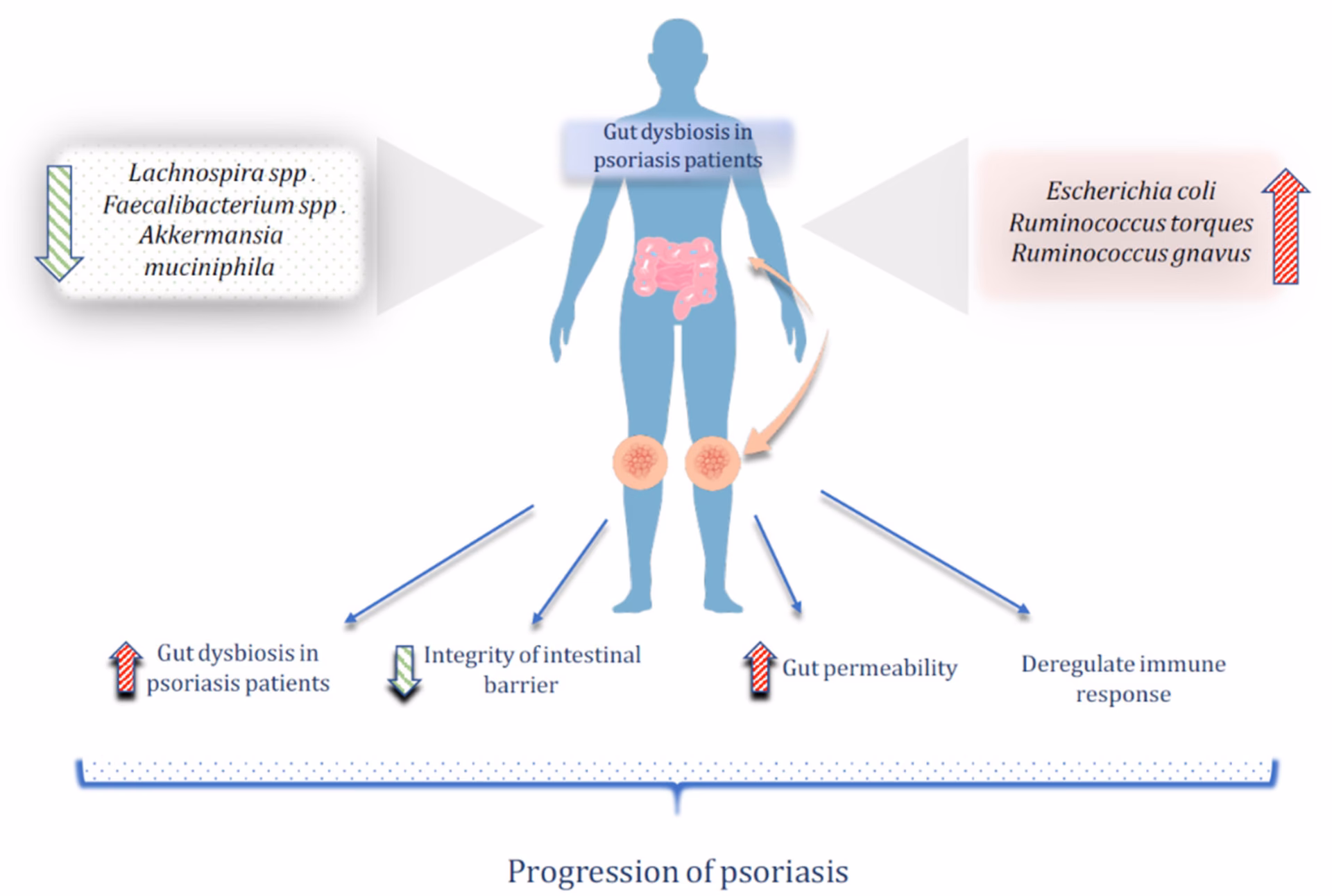 Can L reuteri improve skin health?
