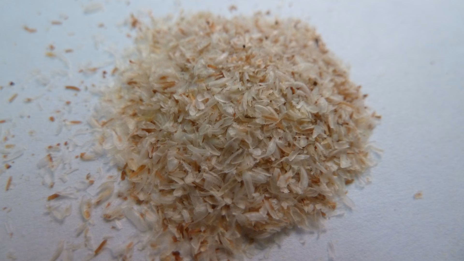 Can psyllium seeds cause a severe allergic reaction?
