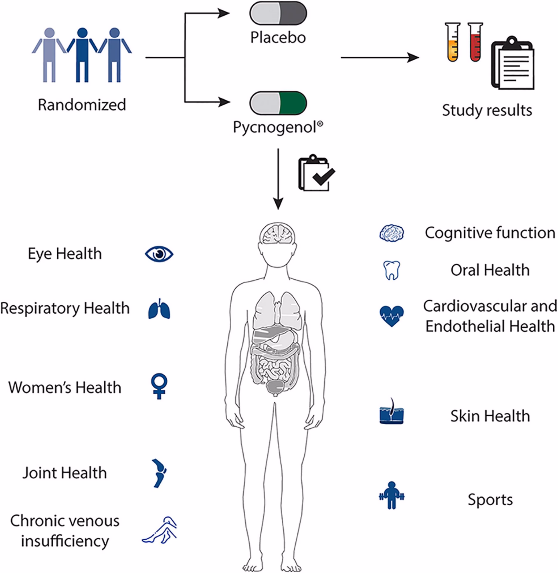 How much Pycnogenol should I take a day?