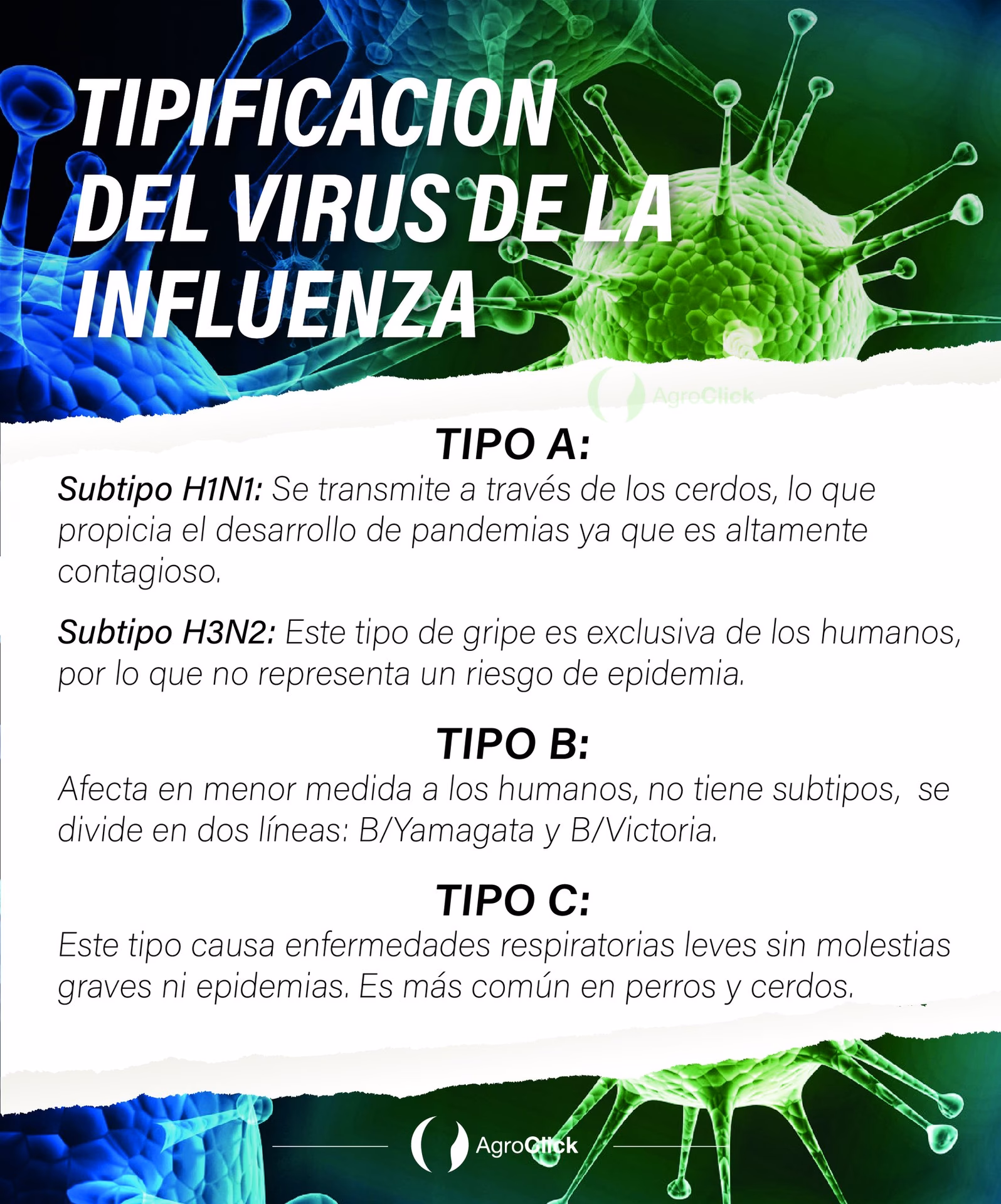 ¿Cuáles son los subtipos de influenza?